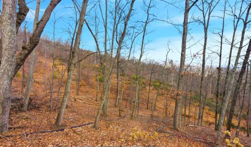 Photo #57 of 5130 Turnpike Road, Lexington, VA 104.0 acres