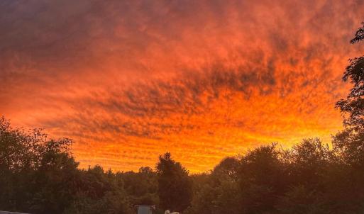 Photo #30 of 2229 Cedar Gate Rd, Madison Heights, VA 0.7 acres