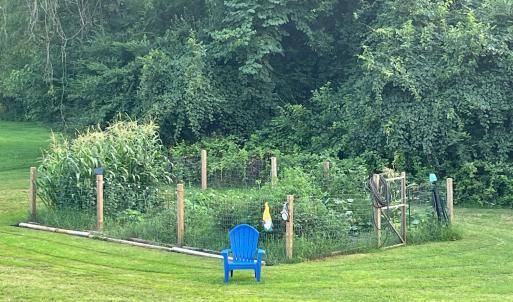 Photo #39 of 2229 Cedar Gate Rd, Madison Heights, VA 0.7 acres