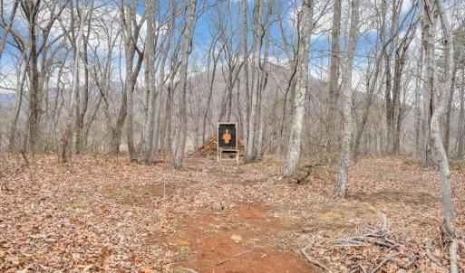 Photo #53 of 1138 Recess Circle, Big Island, VA 2.9 acres