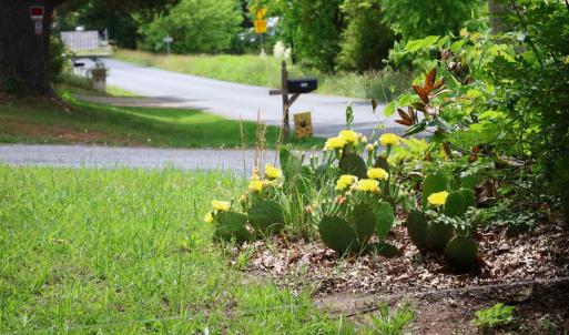 Photo #42 of 3741 Lowry Road, Goode, VA 1.0 acres