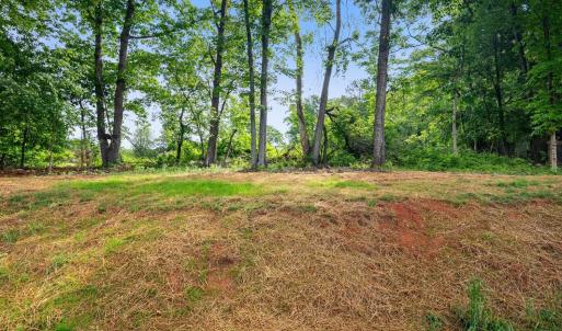 Photo #48 of 71 Patrick Court, Madison Heights, VA 0.3 acres
