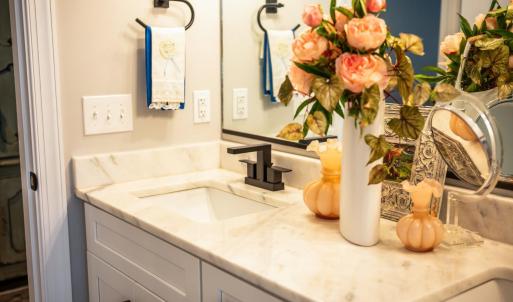 Photo #40 of 1010 Coles Court, Forest, VA 0.1 acres