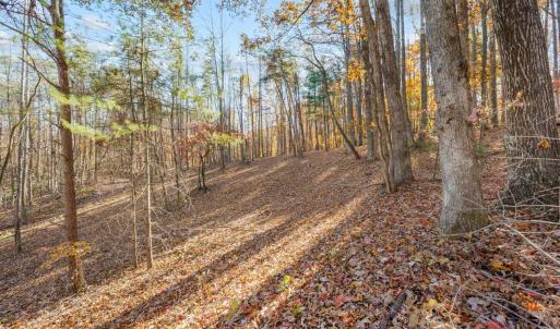 Photo #90 of 170 Fairystone Church Loop, Stuart, VA 28.8 acres