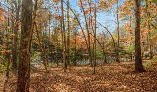 Photo #96 of 170 Fairystone Church Loop, Stuart, VA 28.8 acres