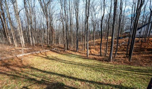 Photo #50 of 1324 Gladden Circle, Forest, VA 1.1 acres