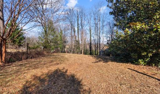 Photo #50 of 119 Briarwood Street, Lynchburg, VA 0.4 acres