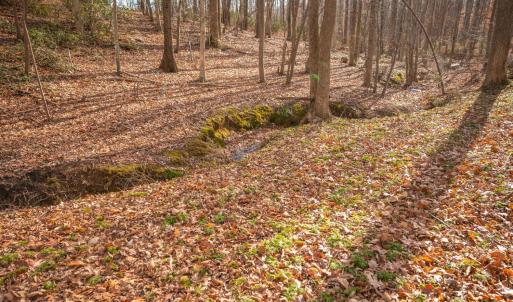 Photo #58 of 144 Armistead Lane, Rustburg, VA 1.7 acres