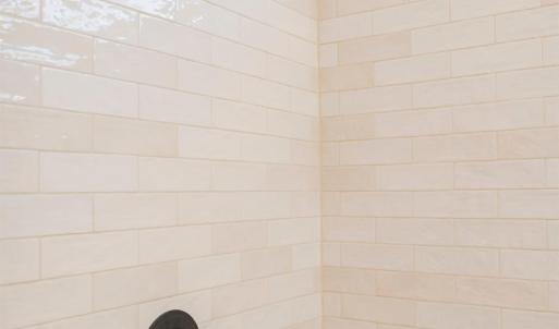 Photo #25 of 1100 Live Oak Court, Forest, VA 0.5 acres