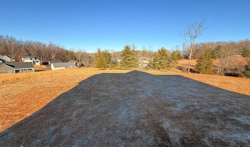 Photo #52 of 1100 Live Oak Court, Forest, VA 0.5 acres