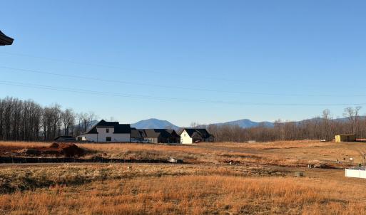 Photo #55 of 1100 Live Oak Court, Forest, VA 0.5 acres