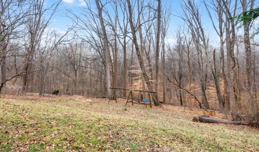 Photo #51 of 127 Temple Circle, Lynchburg, VA 0.6 acres