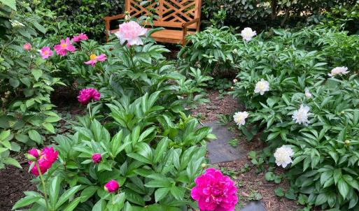 Photo #68 of 3 Riverview Place, Lynchburg, VA 0.1 acres