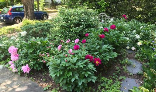 Photo #67 of 3 Riverview Place, Lynchburg, VA 0.1 acres