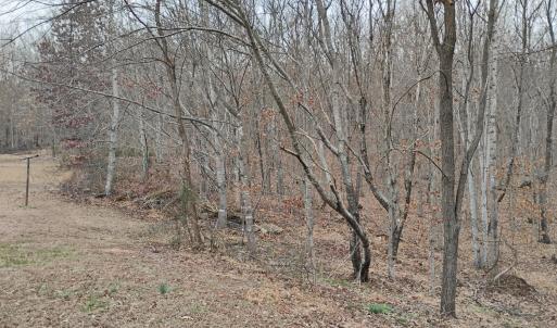 Photo #55 of 4183 TYE RIVER Road, Amherst, VA 5.0 acres