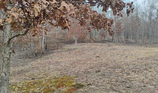 Photo #47 of 4183 TYE RIVER Road, Amherst, VA 5.0 acres