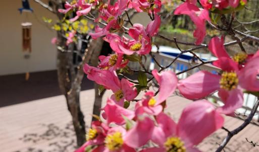 Photo #56 of 1598 Kenmar Drive, Bedford, VA 3.3 acres