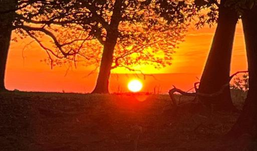 Photo #54 of 1598 Kenmar Drive, Bedford, VA 3.3 acres