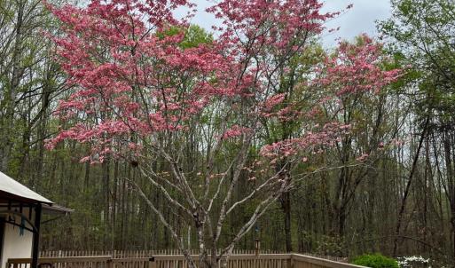 Photo #57 of 1598 Kenmar Drive, Bedford, VA 3.3 acres