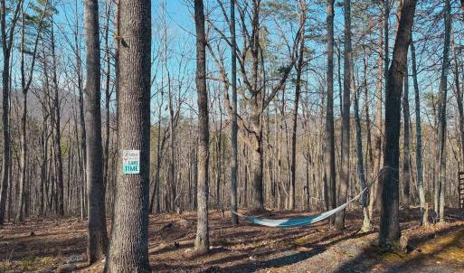 Photo #12 of 507 Faith Cove Drive, Sandy Level, VA 10.0 acres