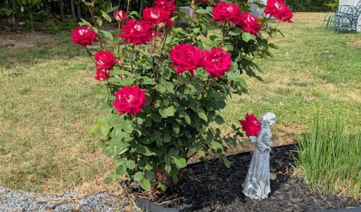 Photo #75 of 2386 Red House Road, Rustburg, VA 3.4 acres