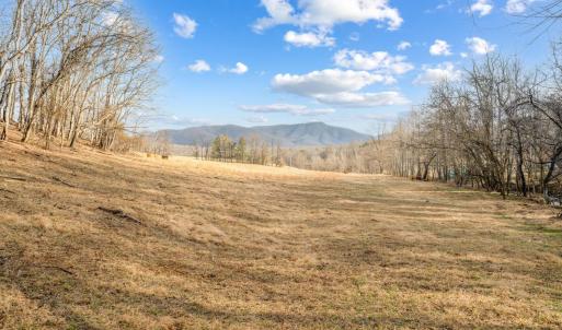 Photo #64 of 1509 Tolley Meadow Road, Big Island, VA 30.8 acres