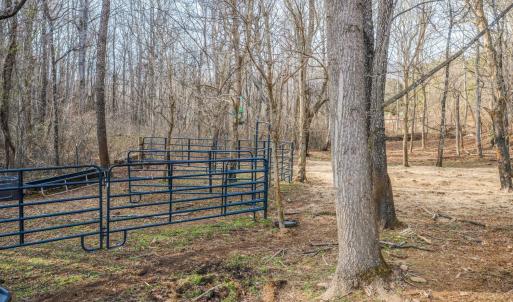 Photo #66 of 1509 Tolley Meadow Road, Big Island, VA 30.8 acres