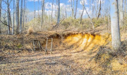 Photo #75 of 1509 Tolley Meadow Road, Big Island, VA 30.8 acres