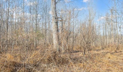 Photo #62 of 1509 Tolley Meadow Road, Big Island, VA 30.8 acres