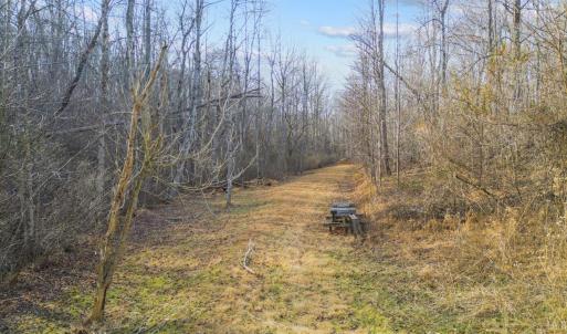 Photo #74 of 1509 Tolley Meadow Road, Big Island, VA 30.8 acres