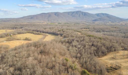Photo #70 of 1509 Tolley Meadow Road, Big Island, VA 30.8 acres