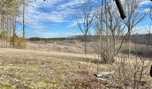 Photo #17 of 2269 McIver Ferry Rd, Gladys, VA 1.0 acres