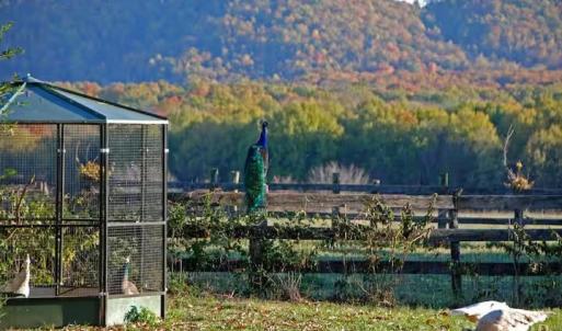 Photo #88 of 2416 Lowesville Road, Amherst, VA 5.9 acres