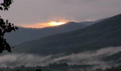 Photo #80 of 2416 Lowesville Road, Amherst, VA 5.9 acres