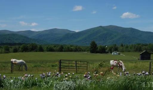 Photo #89 of 2416 Lowesville Road, Amherst, VA 5.9 acres