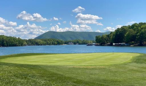 Photo #54 of 1037 Whitetail Drive, Huddleston, VA 1.5 acres