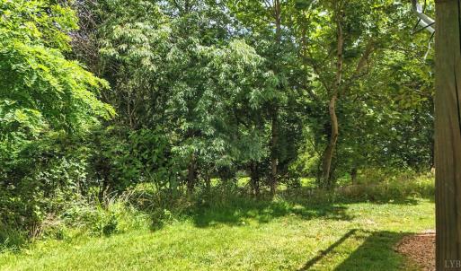 Photo #42 of 40 Rowse, Lynchburg, VA 0.1 acres