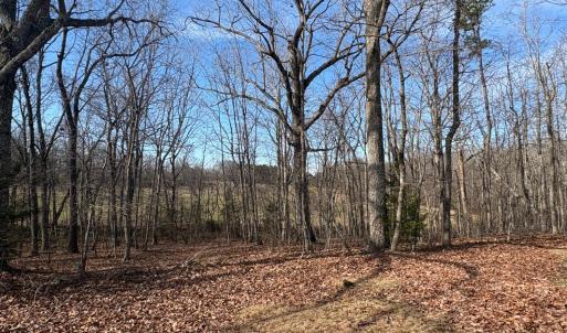 Photo #37 of 111 Oaklawn Terrace, Gretna, VA 5.2 acres