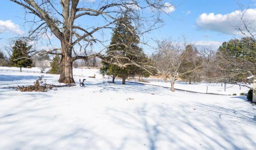 Photo #65 of 1161 Dogwood Hills Drive, Goode, VA 5.8 acres