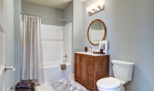 Newly completed lower level full bath.