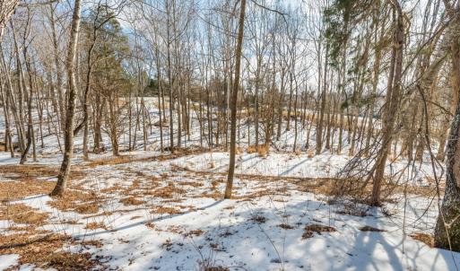 Photo #60 of 109 Deertrack Drive, Forest, VA 2.1 acres