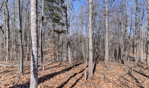 Photo #33 of 416 Mimosa Lane, Rustburg, VA 2.2 acres