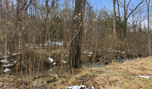 Photo #24 of 1194 Pumping Station, Spout Spring, VA 2.0 acres