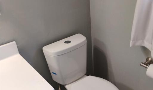 Photo #51 of 1316 DUDLEY Road, Moneta, VA 6.5 acres