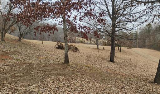 Photo #58 of 4183 TYE RIVER Road, Amherst, VA 5.0 acres