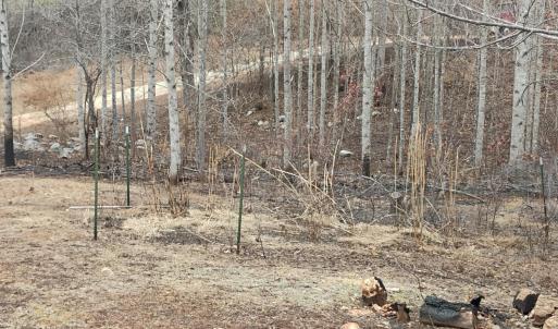 Photo #44 of 4183 TYE RIVER Road, Amherst, VA 5.0 acres