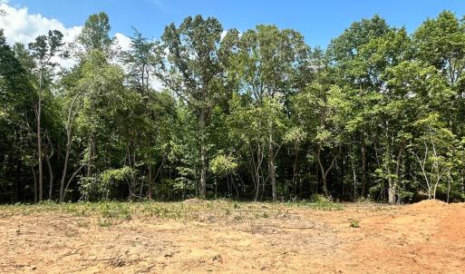 Photo #13 of 16 Somerset Drive, Appomattox, VA 1.7 acres
