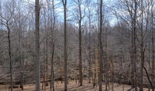 Photo #56 of 425 Harvest Court, Lynchburg, VA 1.0 acres