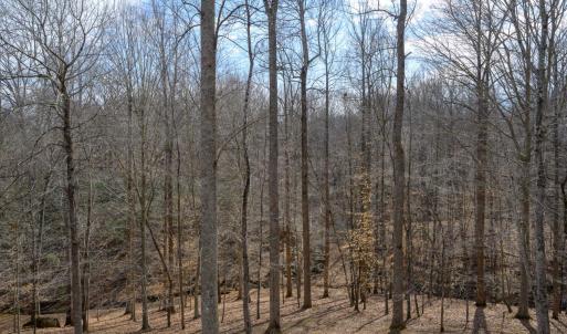 Photo #58 of 425 Harvest Court, Lynchburg, VA 1.0 acres