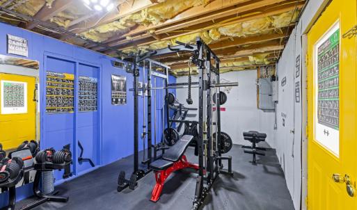 Basement level home gym